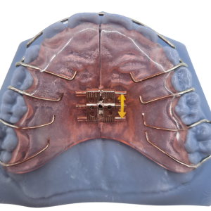 hyrax a dos bandas (1)