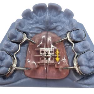 vevidental ortorios (2)
