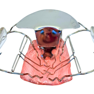 vevidental ortorios (2)